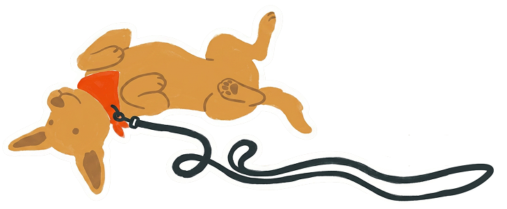 Illustration d'un chien heureux allongé sur le dos, les pattes en l'air
