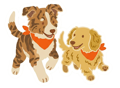 Deux chiens du Crew en balade d'essai