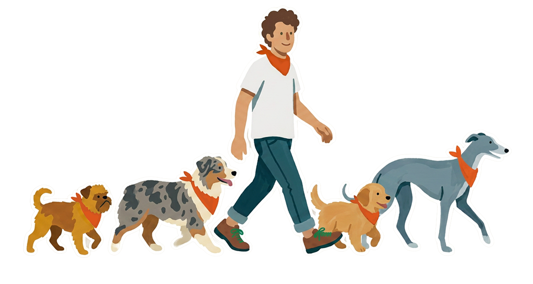 Camille en balade avec plusieurs chiens en laisse